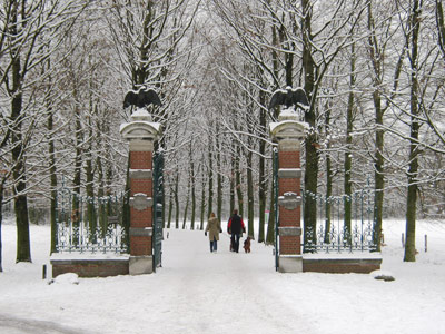 ledeboerpark in the winter